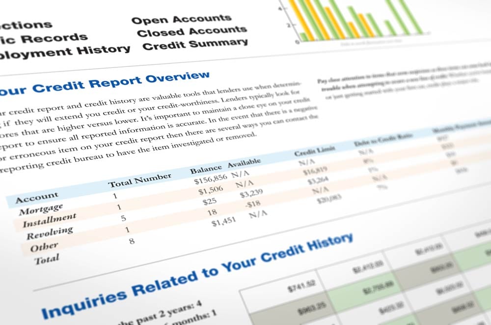example of elements of a credit report