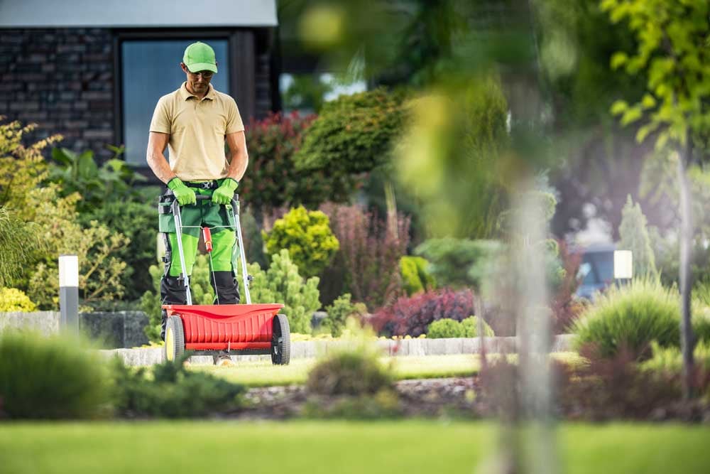 Hard-working Seasonal worker, wrapping up work for the season.