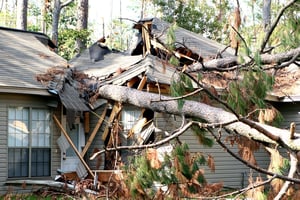 A close-up photo of a home with massive tree limbs and tree trunks running through it, destroying the roof.